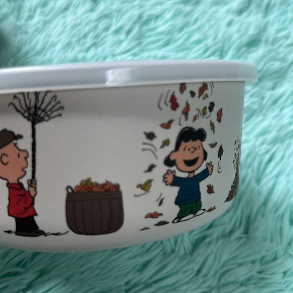 Peanuts snoopy seasonal containers storage perfect for fall thanksgiving… - Picture 6 of 8